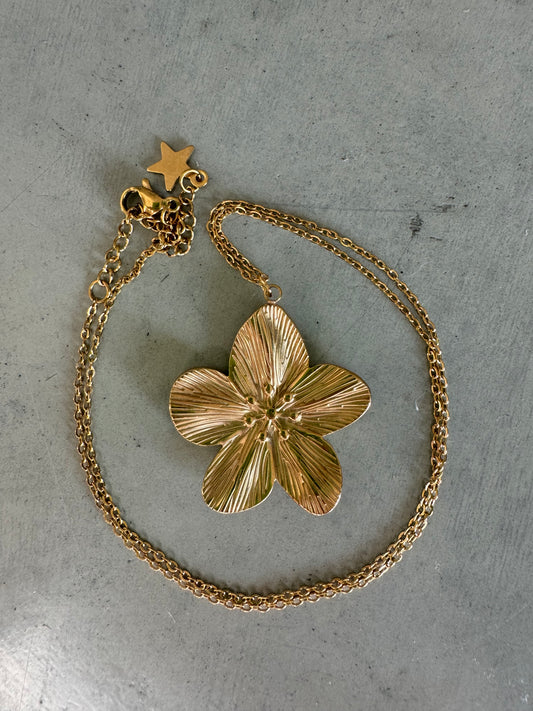 Kayleigh Ketting