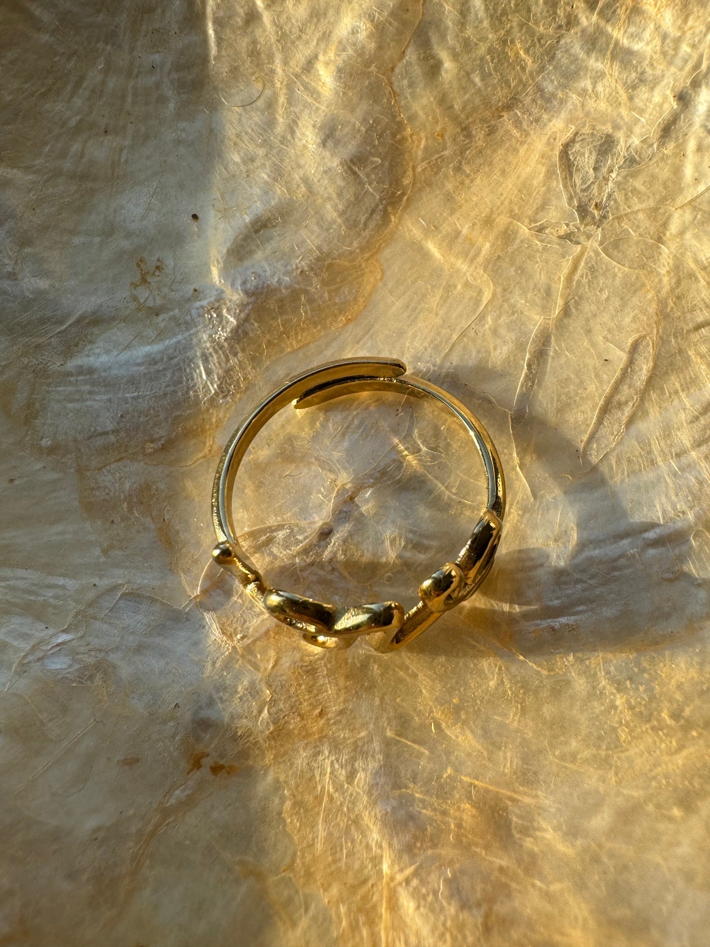 Vic ring