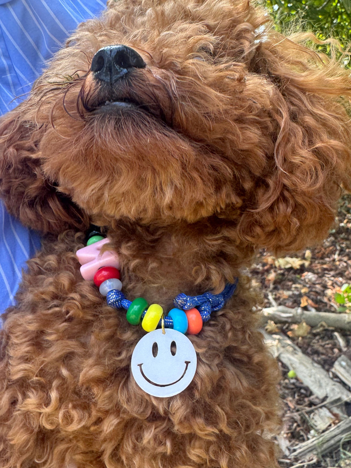 Honden Ketting Blauw